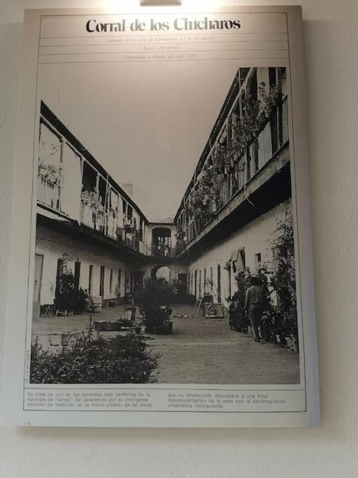 Apartamento Con Encanto En Patio Sevillano エクステリア 写真