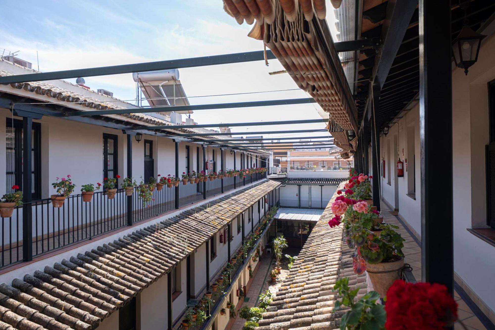 Apartamento Con Encanto En Patio Sevillano エクステリア 写真